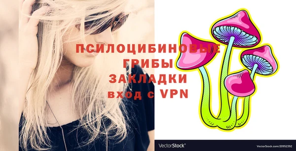 синтетический гашиш Богородск